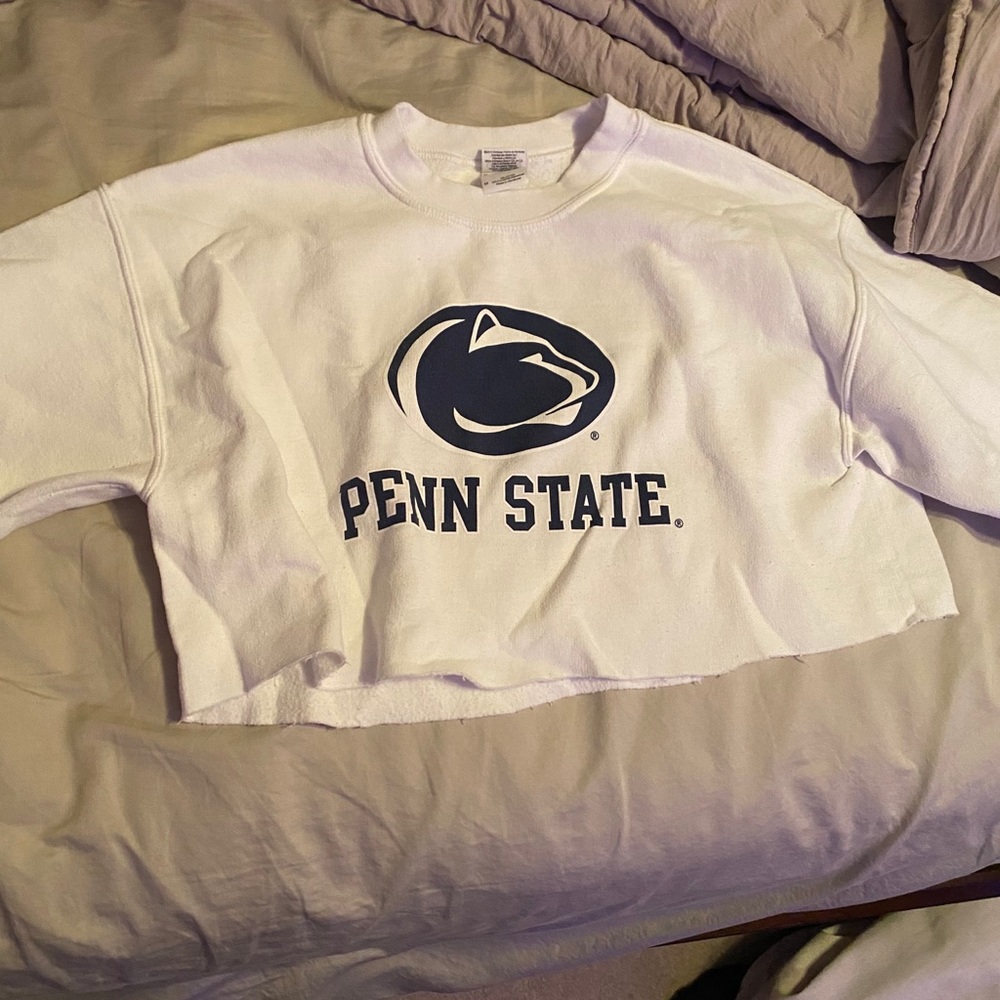 cropped penn state hoodie
